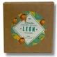 Armonia Leon Volum Solid Shampoo 80Gr.