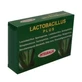 Integralia Lactobacillus Plus, 60 капсул