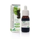 Soria Natural Экстракт черной смородины S Xxi, 50 мл