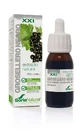 Soria Natural Экстракт черной смородины S Xxi, 50 мл