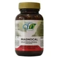 Cfn Magnocal, 60 капсул