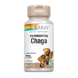 Solaray Chaga Fermented Mushroom 60 Vegcaps