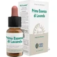 Forza Vitale First Essence Lavender Complex 10Ml.