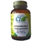 Cfn Hyaluronic Collactive, 60 капсул