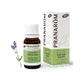 Ефірна олія Lavandula Spica 10 мл, Lavandula Spica ORGANIC від Pranarom