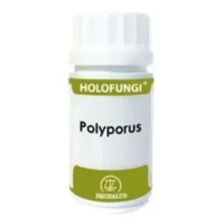 Equisalud Holofungi Polyporus 180 капсул