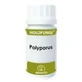 Equisalud Holofungi Polyporus 180 капсул