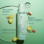 Набор Caudalie Vinoclean, масло для снятия макияжа, 75 мл + пенка для очищения лица, 50 мл + косметичка в подарок: цены и характеристики