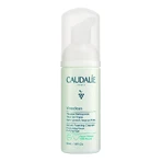 Набор Caudalie Vinoclean, масло для снятия макияжа, 75 мл + пенка для очищения лица, 50 мл + косметичка в подарок: цены и характеристики