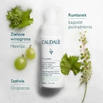 Набор Caudalie Vinoclean, масло для снятия макияжа, 75 мл + пенка для очищения лица, 50 мл + косметичка в подарок: цены и характеристики