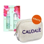 Набор Caudalie Vinoclean, масло для снятия макияжа, 75 мл + пенка для очищения лица, 50 мл + косметичка в подарок: цены и характеристики