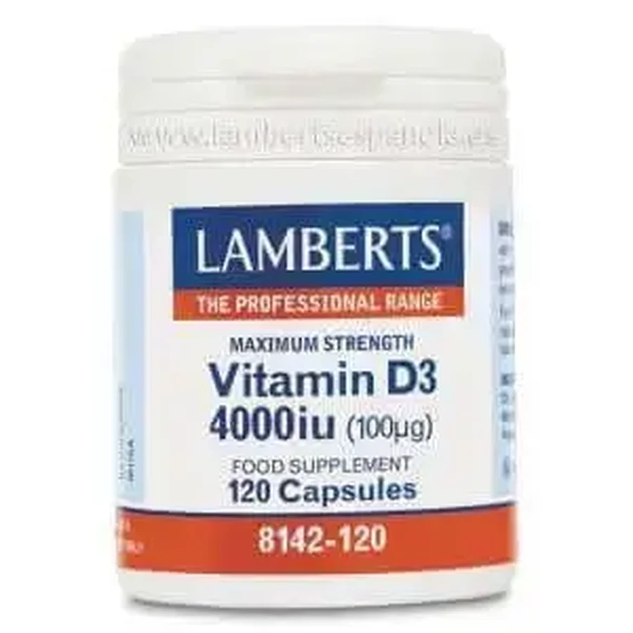 Lamberts Вітамін D3 4000Ui 120 капсул: ціни та характеристики