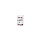 Ana Maria Lajusticia AmlSport Коллаген с магнием + вит С + вит В1 В2 и В6 со вкусом клубники 350 г