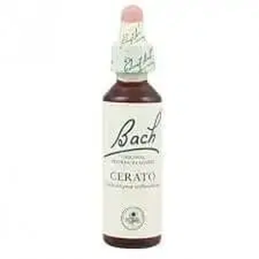 Bach Cerato 20 мл: цены и характеристики