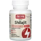 Комплекс с мумие и фульвокислотой, 250 мг, Vegan Shilajit Fulvic Acid Complex, Jarrow Formulas, 60 растительных капсул