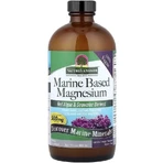 Магний на морской основе, 500 мг, вкус ванили, Marine Based Magnesium, Nature's Answer, 480 мл: цены и характеристики