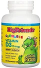 Витамин D3 для детей, 10 мкг (400 МЕ), вкус ягод, Chewable Vitamin D3, Natural Factors, 250 жевательных таблеток