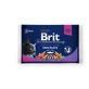 BRIT Premium Multipack Рибна тарілка, 2 смаки, змішана упаковка, вологий корм для котів у пакетиках, (в соусі), 100г х 4