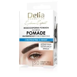 DELIA Eyebrow Expert Водостійка помада для брів 3.0 Коричнева 7 г