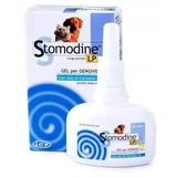 Гель STOMODINE Long Period - правильна гігієна порожнини рота ...