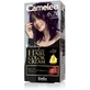 Фарба для волосся DELIA CAMELEO Omega II 6.26 Баклажан