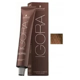 SCHWARZKOPF IGORA Перманентна фарба для волосся 6-4 60 мл
