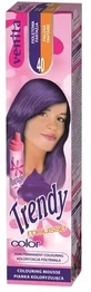 VENITA TRENDY COLOR Foam 40 Purple Fantasy 75 мл