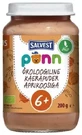 SALVEST Põnn BIO Абрикосы с овсянкой 200 г