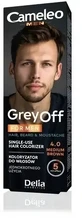 DELIA CAMELEO MEN GREY OFF Фарба для волосся, бороди та вусів ...