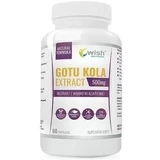 Wish Gotu Kola 500 мг 60 капсул