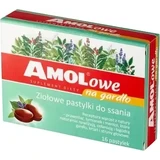 Травяные пастилки Amolowe Na Gardło 16 пастилок