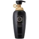 Daeng Gi Meo Ri Oriental Special Shampoo Восточный специальный шампунь ...