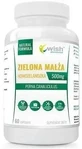 Новозеландская мидия Wish Green 60 капсул