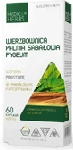 Medica Herbs Willow Palm Sabal 60k