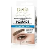 DELIA Eyebrow Expert Водостійка помада для брів 5.0 Коричнева 7 г