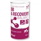 VETFOOD BB & Recovery Balance Professional 500 г