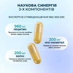 Лецитин Amrita Холін Інозитол, 60 капс: ціни та характеристики