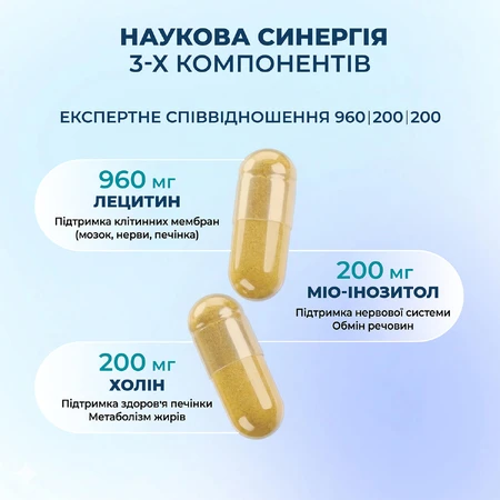 Лецитин Amrita Холін Інозитол, 60 капс: ціни та характеристики
