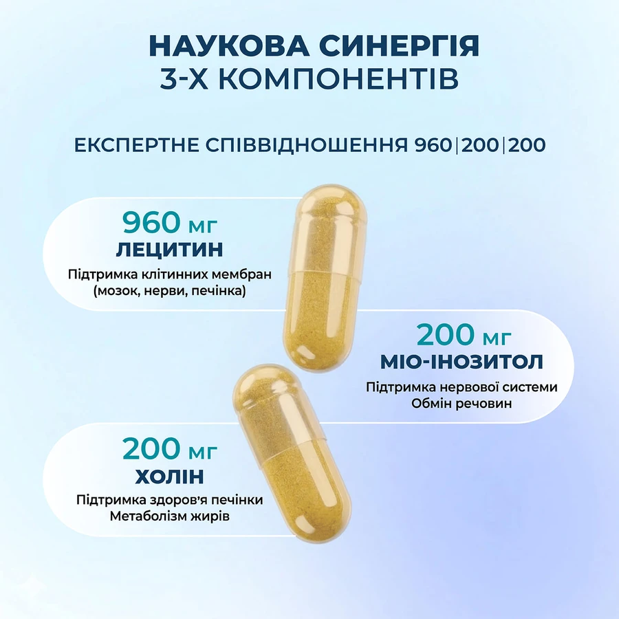 Лецитин Amrita Холін Інозитол, 60 капс: ціни та характеристики