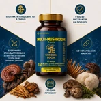 SHROOMBOOM Multi-Mushroom Daily Complex, экстракты плодовых тел 8 видов грибов, 60 капс: цены и характеристики