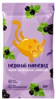 Мармелад медовый AMC Pharm черная смородина и лаванда, 50 г