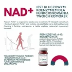 Endotelio Life Synergy, капсули, 30 шт.: ціни та характеристики