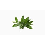 Omega 3 Algae, мягкие капсулы, 60 шт.: цены и характеристики