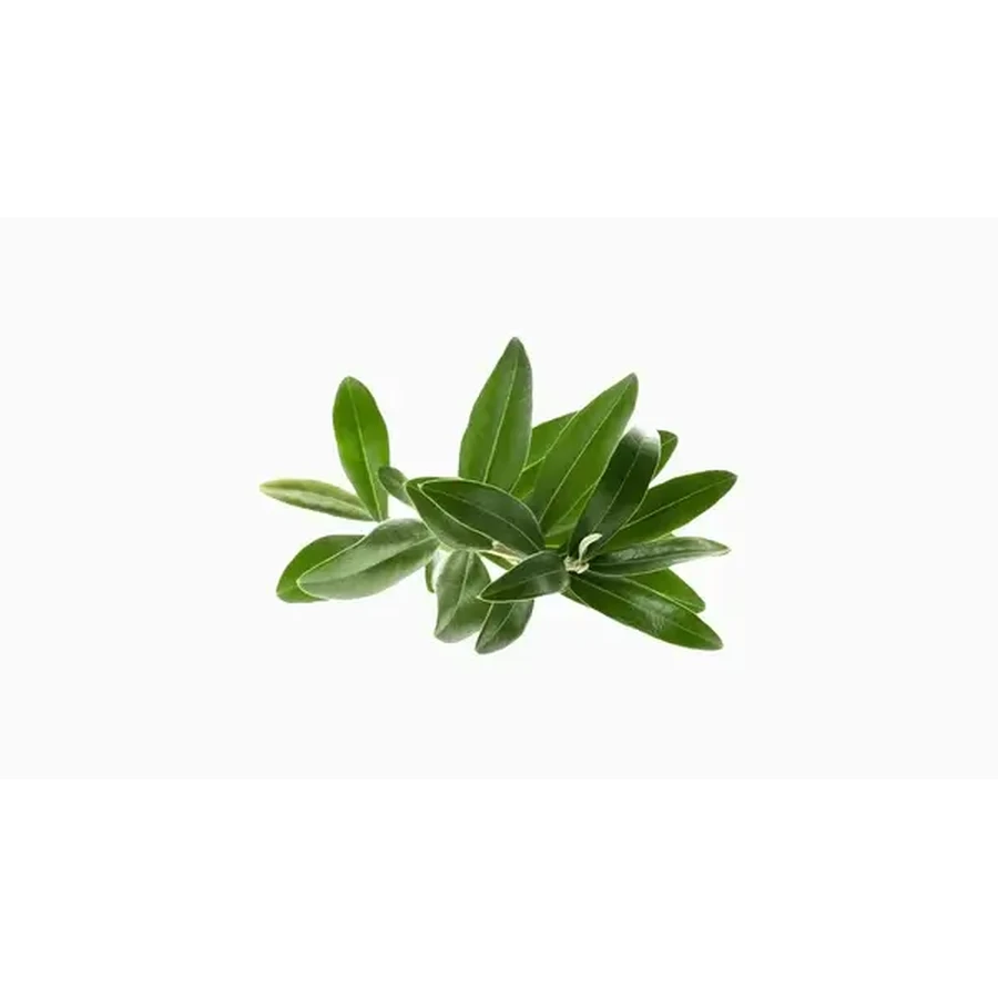 Omega 3 Algae, мягкие капсулы, 60 шт.: цены и характеристики