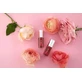 Tirtir My Glow Lip Oil, масло для губ, оттенок Rosy, 5,7 мл