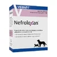 Vebiot Nefroloxan, препарат для підтримки функції нирок у собак і котів, капсули, 60 шт.