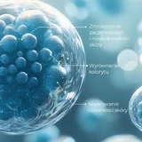 Alkmie BioCeramide, відновлюючий крем з керамідом, 50 мл