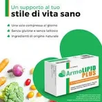 ArmoLipid, 3 х 60 таблеток, Mylan: цены и характеристики