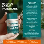 Cystone, 2 x 100 таблеток, Himalaya: цены и характеристики