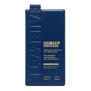 Шампунь для восстановления тёмного цвета Stay Cool, 250 мл, Hairmate
